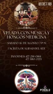 Velada con música y hongos medicinales