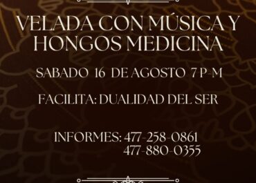 Velada con música y hongos  medicinales