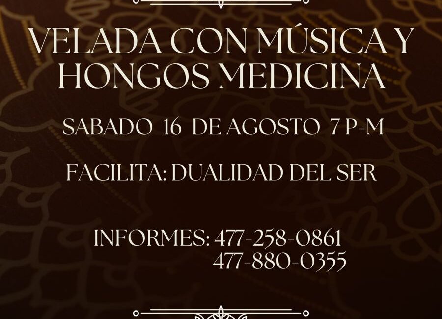 Velada con música y hongos medicinales